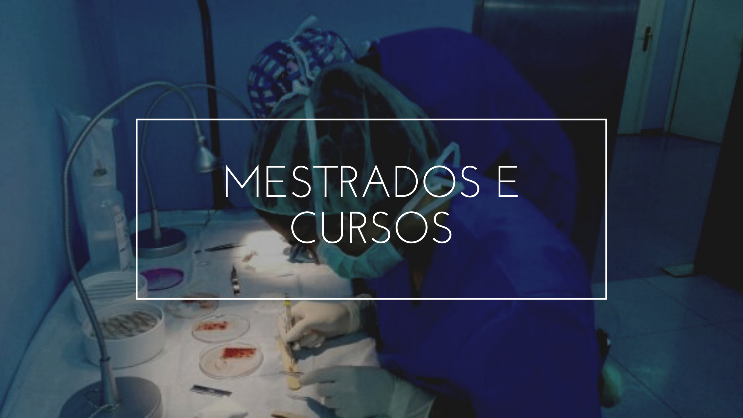 MESTRADOS E CURSOS